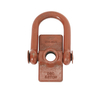 Heavy Duty Hoist Ring